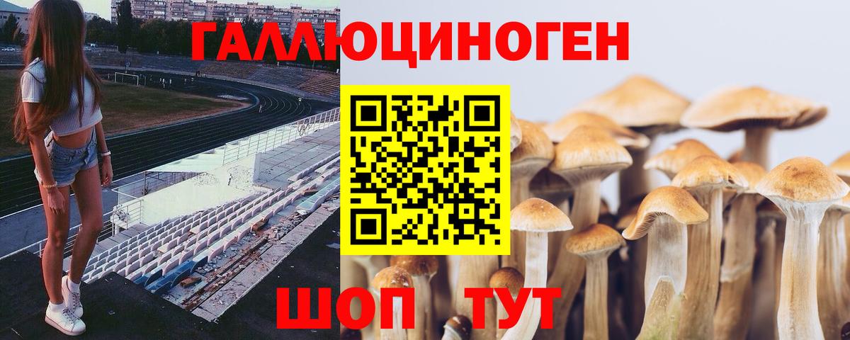 Псилоцибиновые грибы GOLDEN TEACHER  Вход с VPN  Назрань 